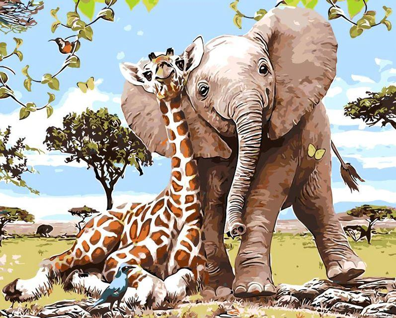 Elephant And Giraffe Animals Paint By Number.png