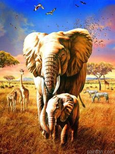 Elephant And Son Paint By Numbers.png