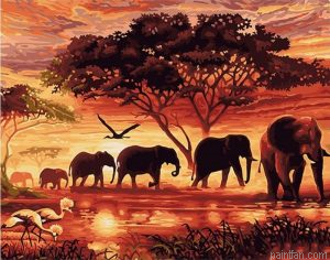Elephants Animals Paint By Numbers.png