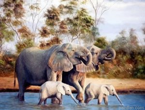 Elephants Family Paint By Numbers.png