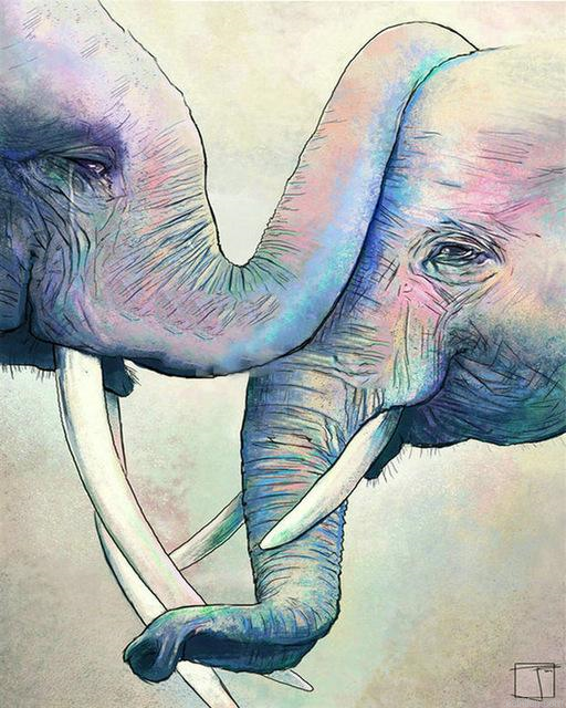 Elephants Greeting Paint By Numbers.png