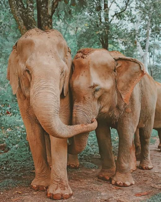 Elephants Love New Paint By Numbers.png