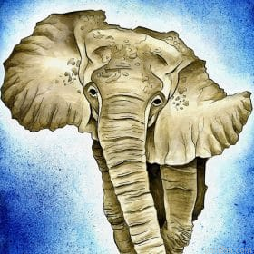 Elephants Of Africa Paint By Numbers.png