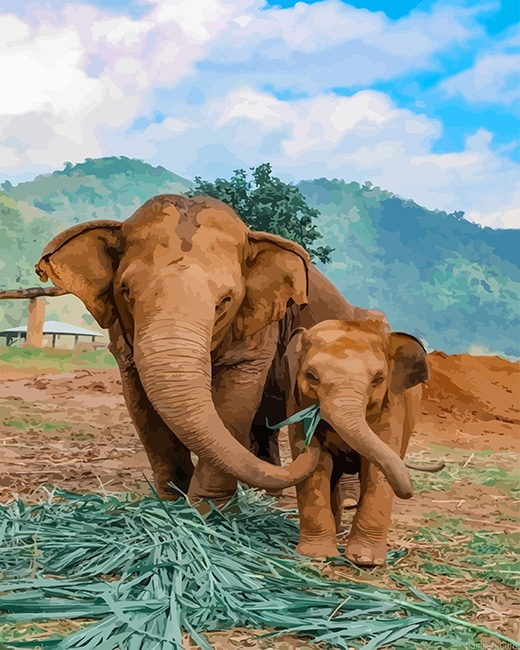 Elephants In Thailand New Paint By Number.png