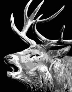 Elk Animals Paint By Numbers.png