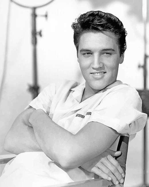 Elvis Presley New Paint By Numbers.png