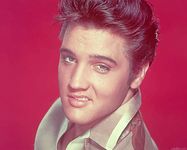 Elvis Presley Smile New Paint By Numbers.png