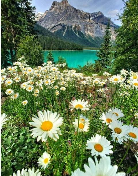 Emerald Lake Paint By Numbers.png