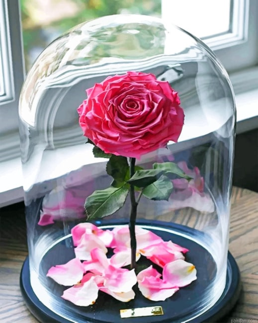 Enchanted Rose Flowers Paint By Numbers.png