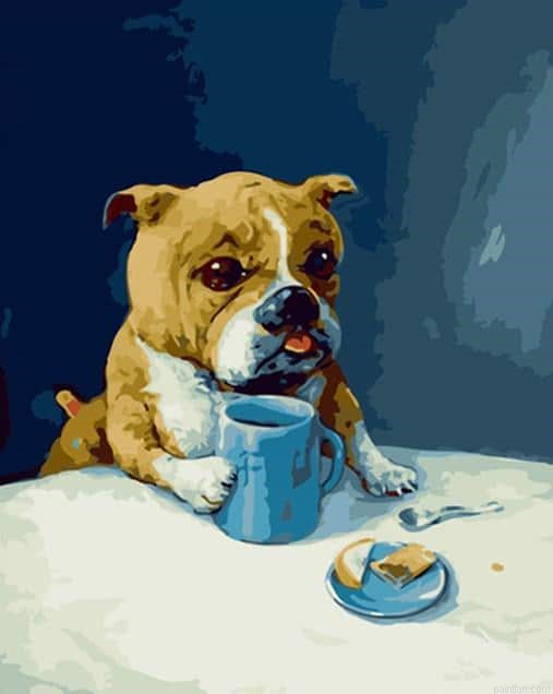 English Bulldog Paint By Numbers.png