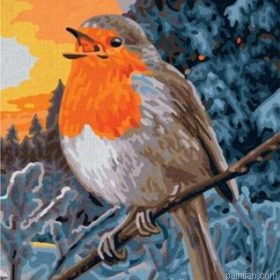 European Robin Paint By Numbers.png