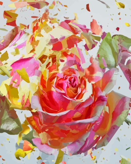 Exploding Flower Paint By Numbers.png