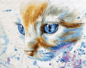 Eyes Cat Paint By Numbers.png