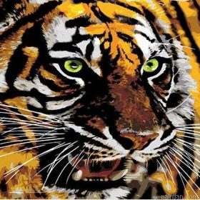 Eyes Of Tiger Paint By Numbers.png