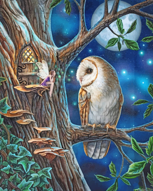 Fairy And Owl Art Paint By Numbers.png