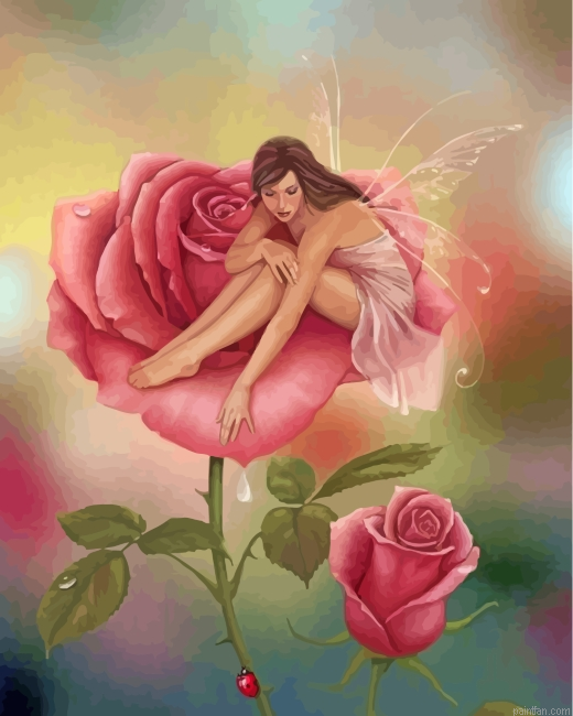 Fairy And Pink Rose Paint By Number.png