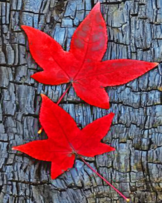 Fall Leaves Paint By Numbers.png