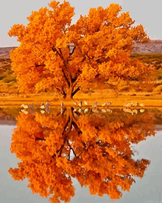 Fall Tree Water Reflection Paint By Numbers.png