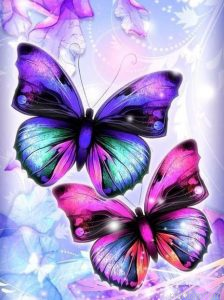 Fantasy Butterflies Paint By Numbers.png