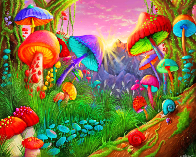 Fantasy Mushrooms Paint By Numbers.png