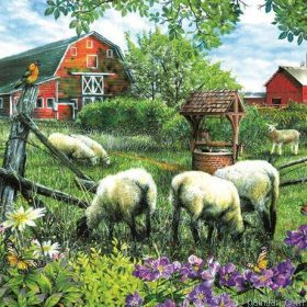 Farm Sheep Paint By Numbers.png