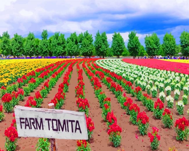 Farm Tomita Paint By Number.png
