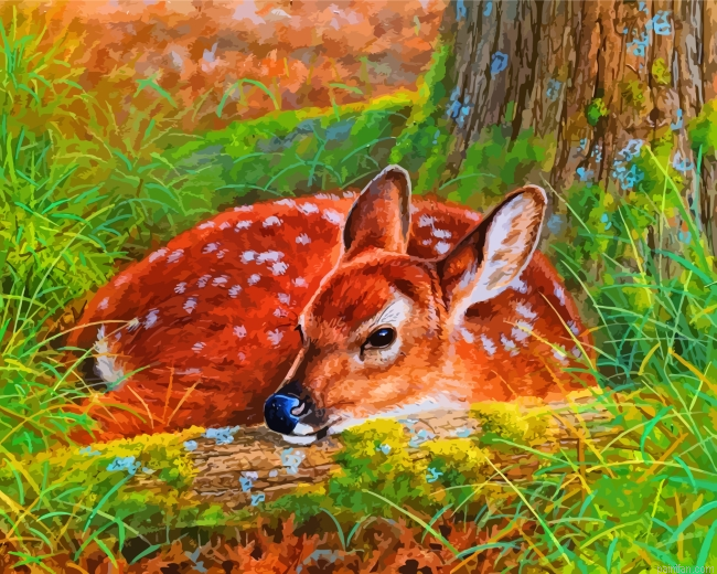 Female Deer Paint By Number.png