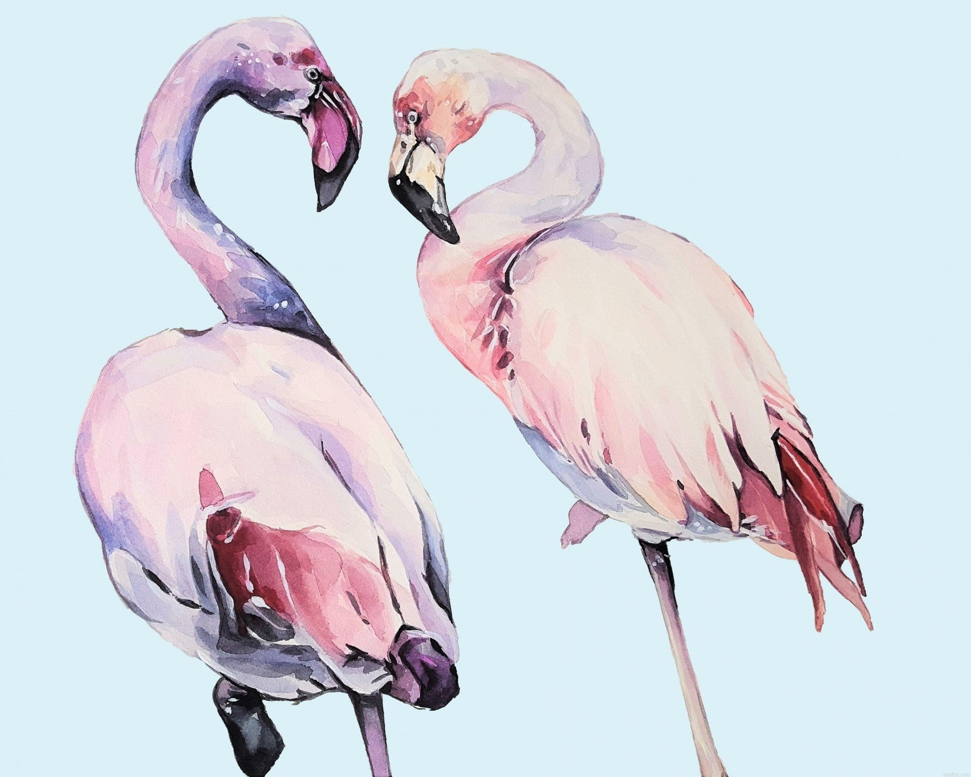 Female Flamingos Paint By Numbers.png