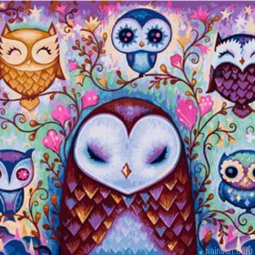 Female Owls Paint By Numbers.png