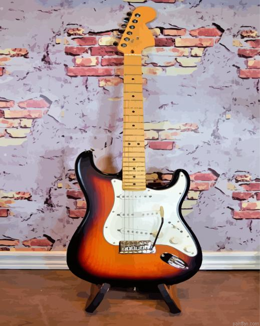 Fender Stratocaster Guitar Paint By Numbers.png