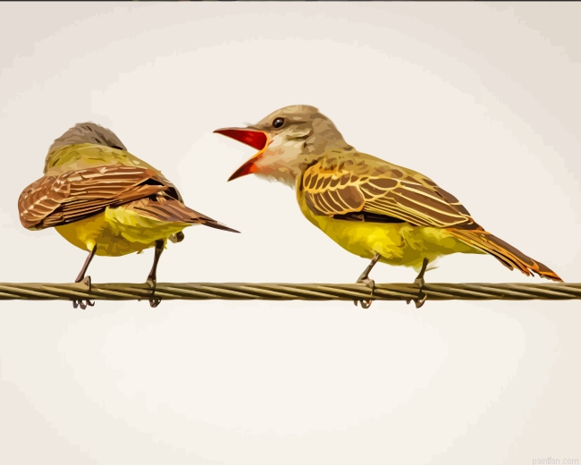 Finches On Wire Paint By Number.png