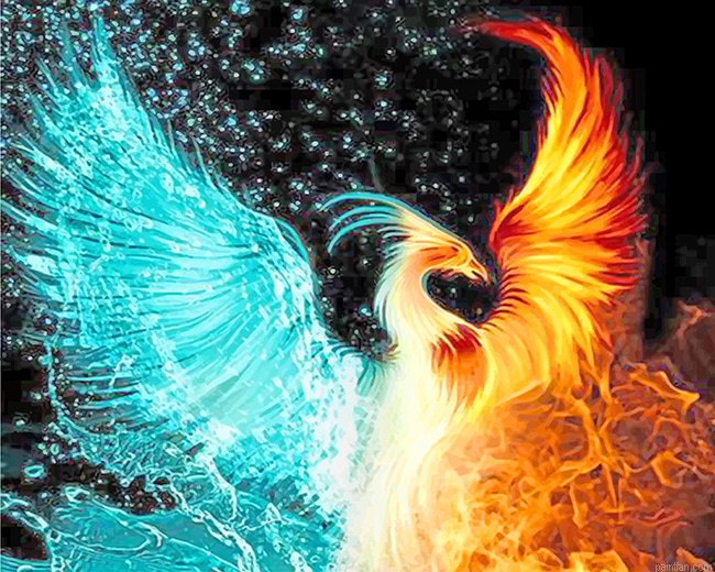 Fire And Water Phoenix New Paint By Numbers.png