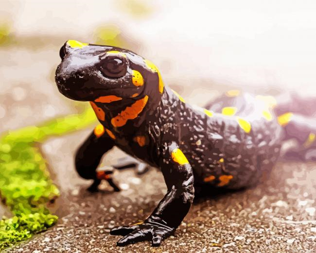 Fire Salamander Paint By Numbers.png