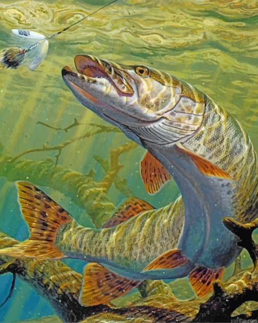 Fish Underwater Art Paint By Numbers.png