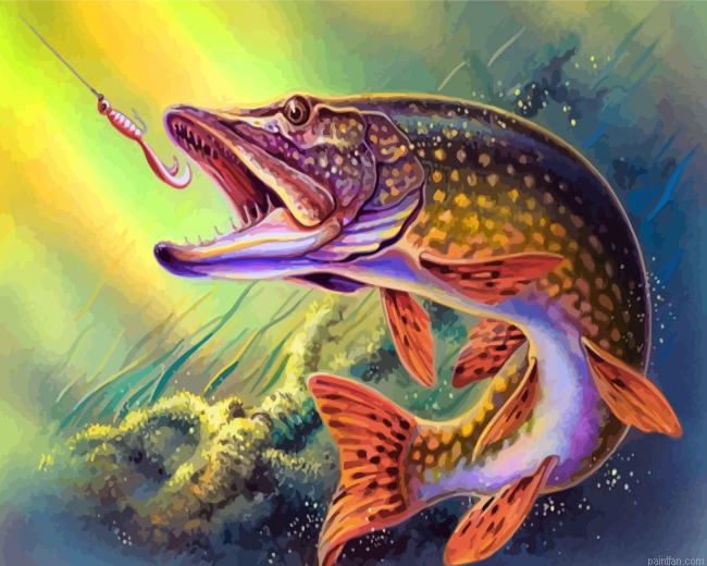 Fish Underwater Paint By Number.png