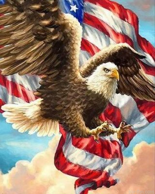 Flag Eagle Paint By Numbers.png