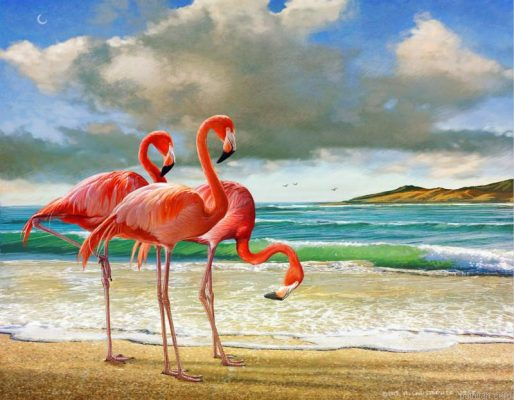 Flamingo At Beach Paint By Numbers.png