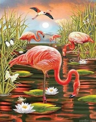 Flamingo In Swamp Paint By Numbers.png