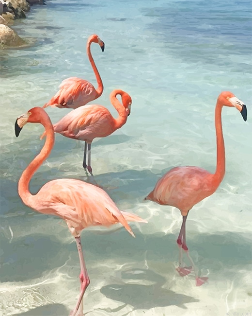 Flamingos Birds New Paint By Numbers.png