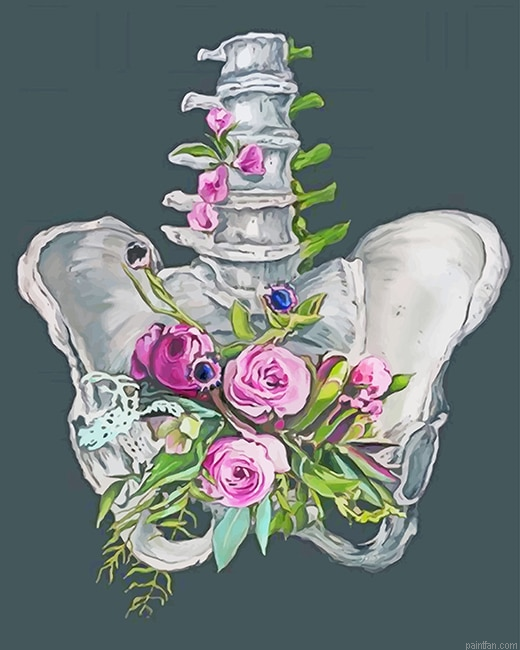Floral Anatonomy New Paint By Numbers.png