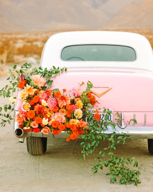 Floral Car New Paint By Numbers.png