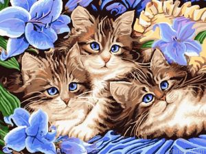 Floral Cats Paint By Numbers.png