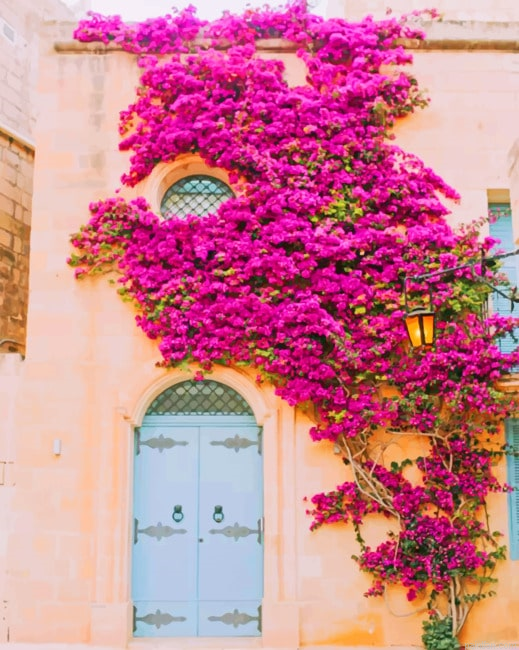 Floral Medina Gate New Paint By Numbers.png