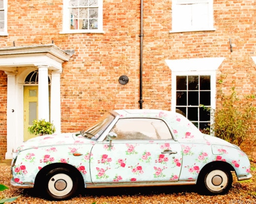 Floral Nissan Figaro Engines Paint By Numbers.png