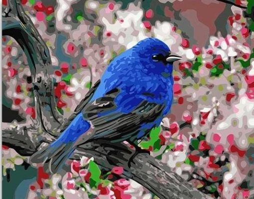 Flower And Bird Paint By Numbers.png