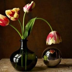 Flower In Glass Paint By Numbers.png