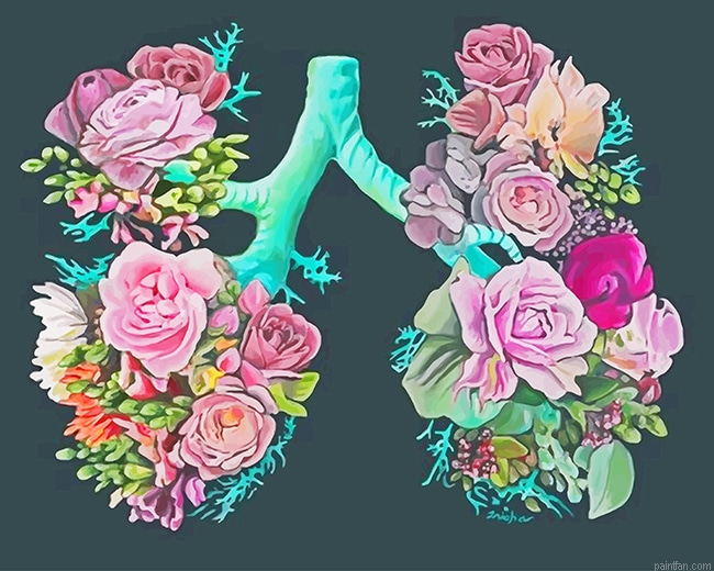 Flower Lungs New Paint By Numbers.png