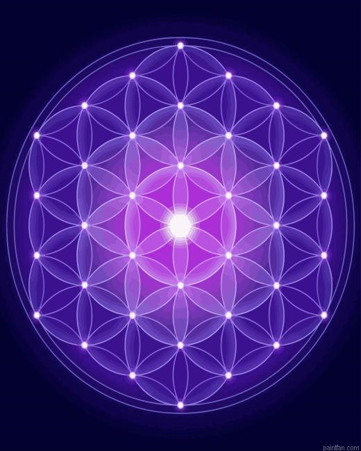Flower Of Life Paint By Numbers.png