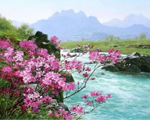 Flower River Paint By Numbers.png