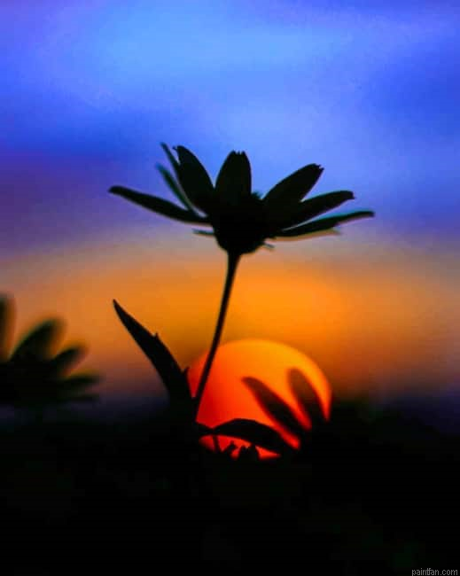 Flower Silhouette New Paint By Numbers.png